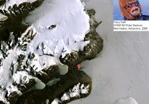 Исследовательская база в Антарктике